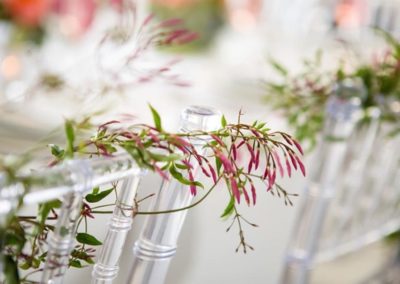 22549782_1625086447522916_5179464571269998985_n