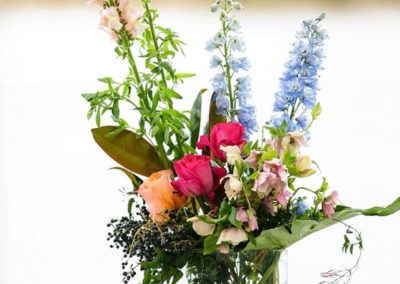 22554975_1625086264189601_5633753193687231434_n